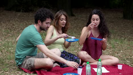 grupo de amigos sonrientes disfrutando de un picnic en el parque juntos
