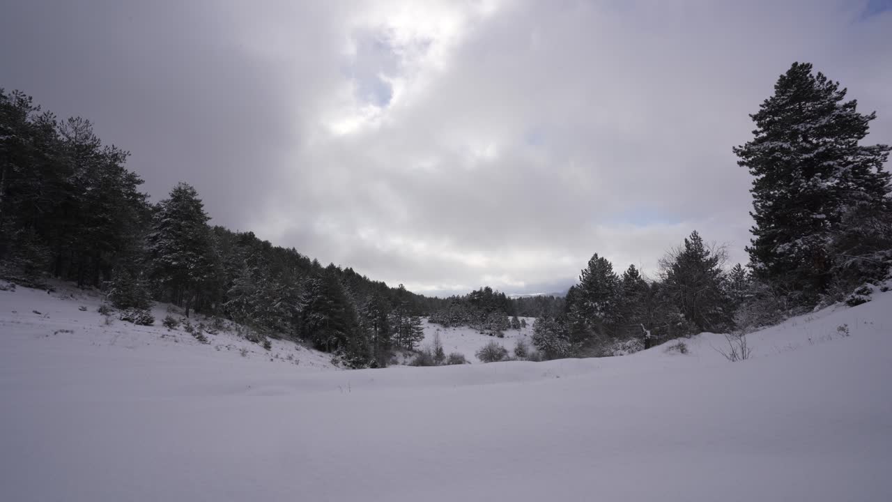 nubes de nieve en la montaña y el bosque con pinos, espacio de copia de invierno, lapso de tiempo