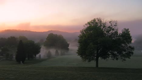 Nebel-Rollt-Bei-Sonnenaufgang-Durch-Die-Bäume