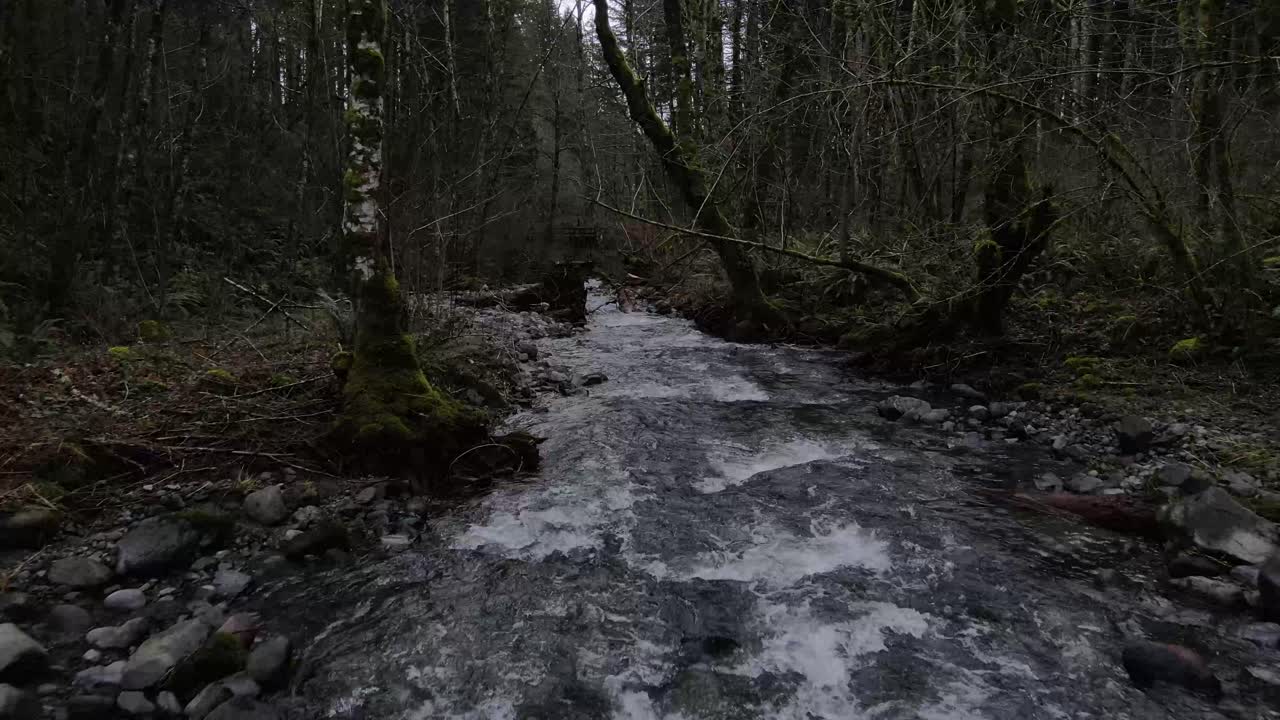 Aerial movement from a low angle over a small creek in a forest following the water on a gloomy overcast day