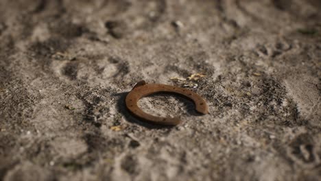 one old rusty metal horseshoe