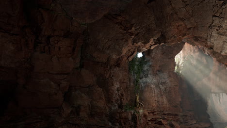 sunlight shining through a cave opening