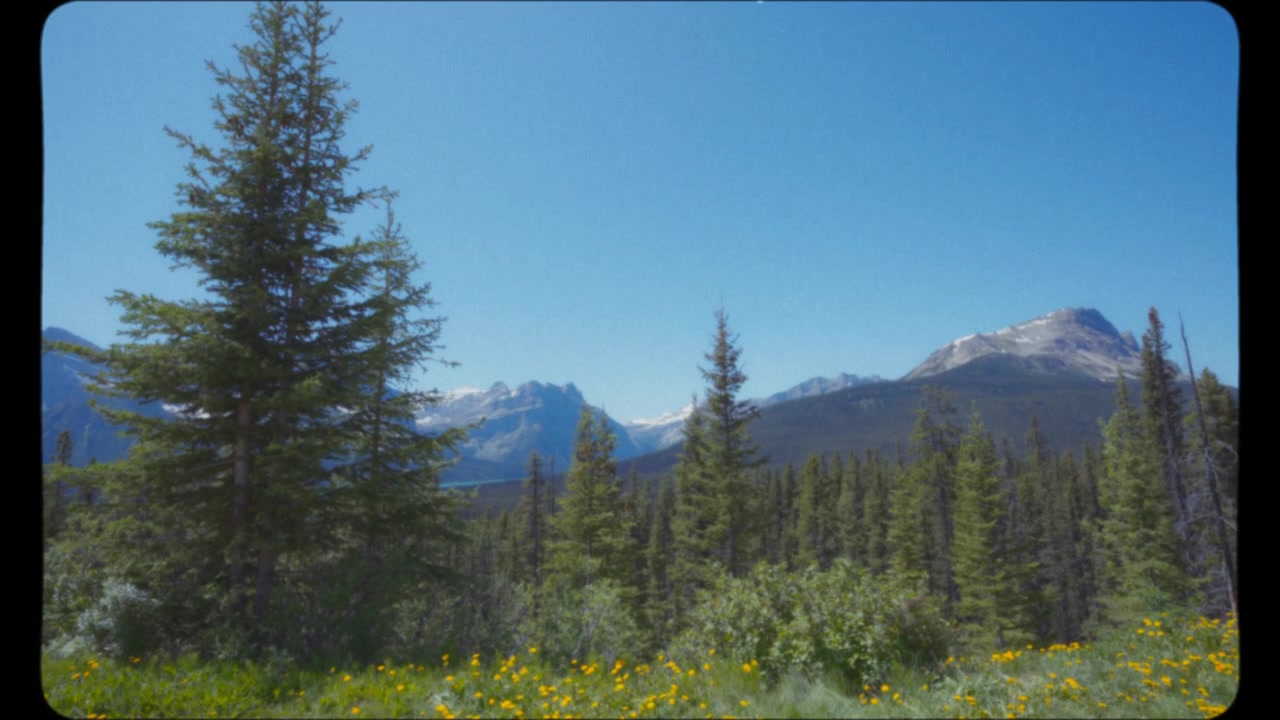 Trees and mountain peaks