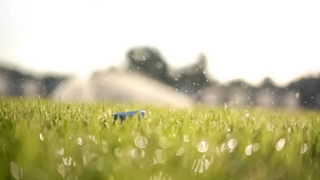 golf club hits a golf ball in a super slow motion. drops of morning dew and grass particles rise into the air after the impact.