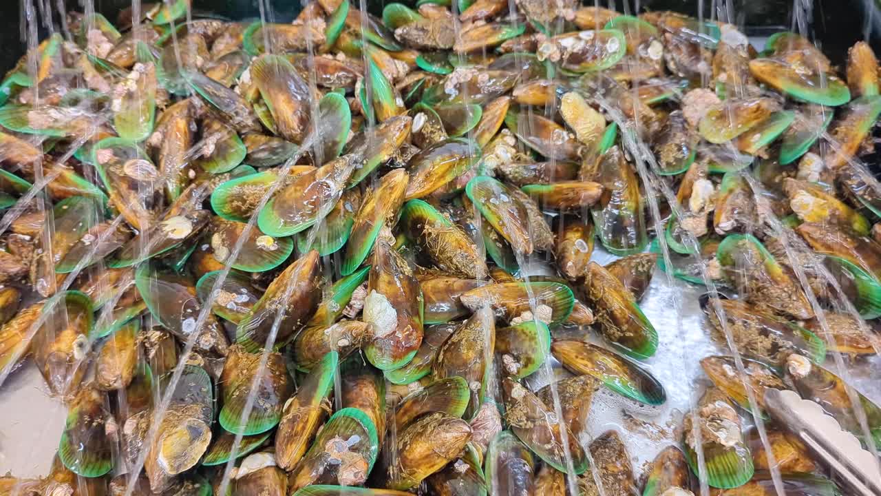 los mejillones de labios verdes de nueva zelanda se mantienen frescos con rociadores de agua para la venta en el supermercado de nzotearoa