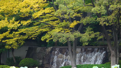 美麗的秋季樹木和一個小<unk>布在ueno公園,東京