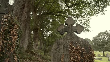 überwucherter-Grabstein-Auf-Dem-Friedhof