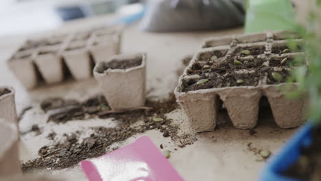 primer plano de las plántulas, bandejas de semillas biodegradables, tierra y paleta en la mesa, cámara lenta