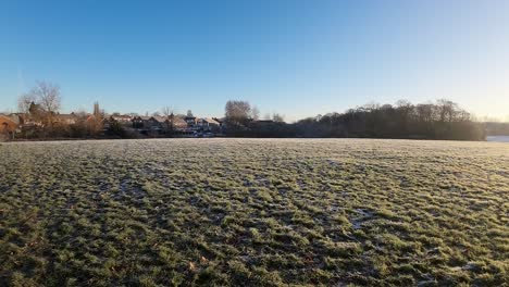 Frosty-winter-landscape-flying-through-tree-branches-into-sunlit-meadow-during-golden-hour-sunrise