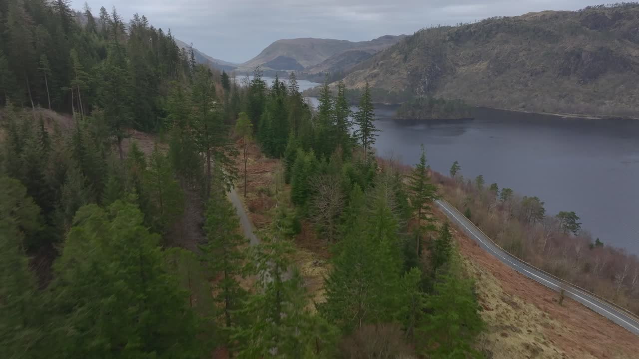 Pine trees and road beside lake with flight over trees towards lake. Lake District, Cumbria, UK.