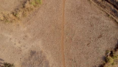 toma panorámica de drones de una granja escalonada india seca en la ladera