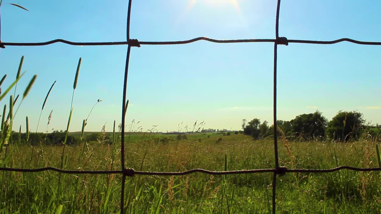 현장 매체에서 철조망을 통과하여 밀어 넣습니다.