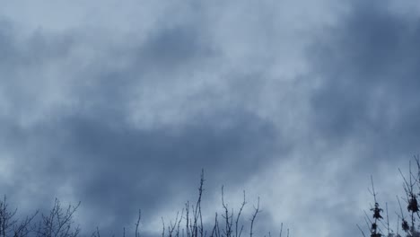 dark blue sky, timelapse. flowing scary clouds in evening, bad weather. halloween theme