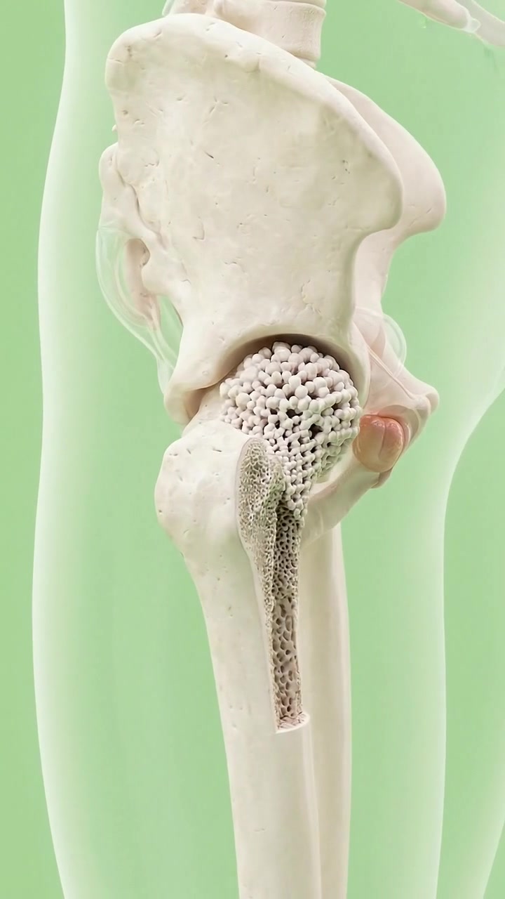 Visualização de anatomia médica científica e pesquisa biológica