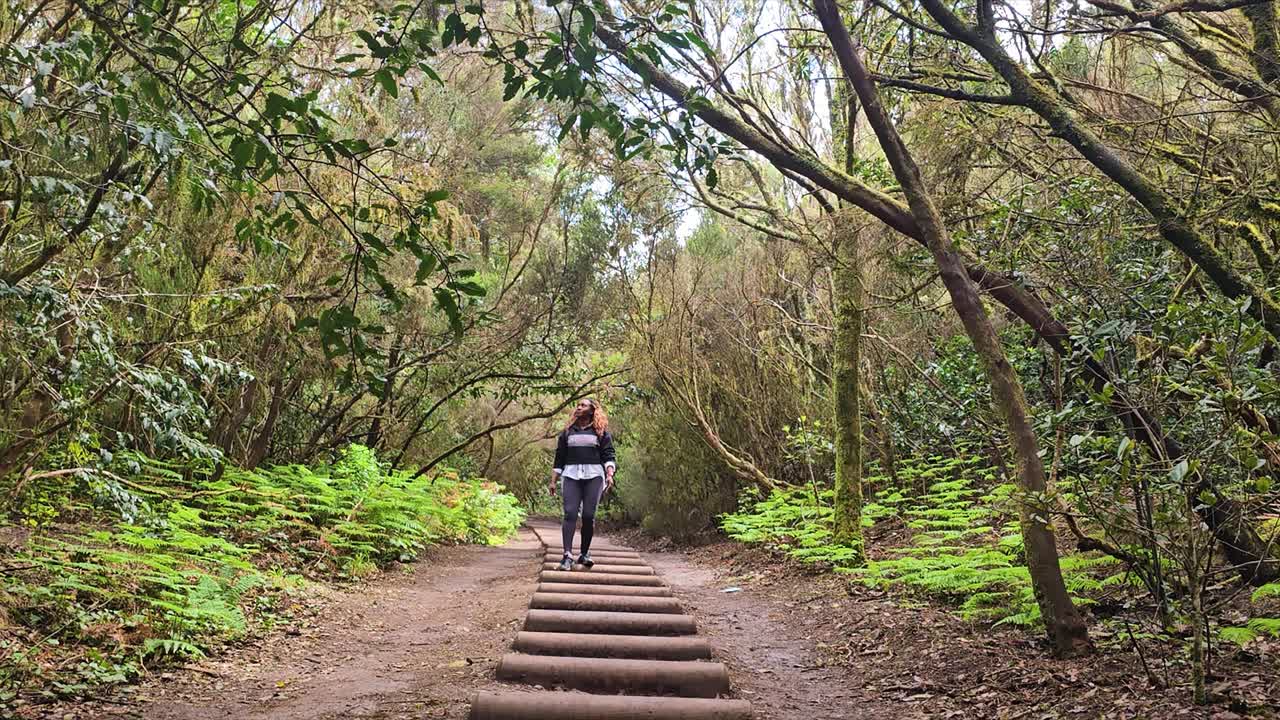 Walking through forest steps in Anaga, Spain, peaceful and serene natural environment