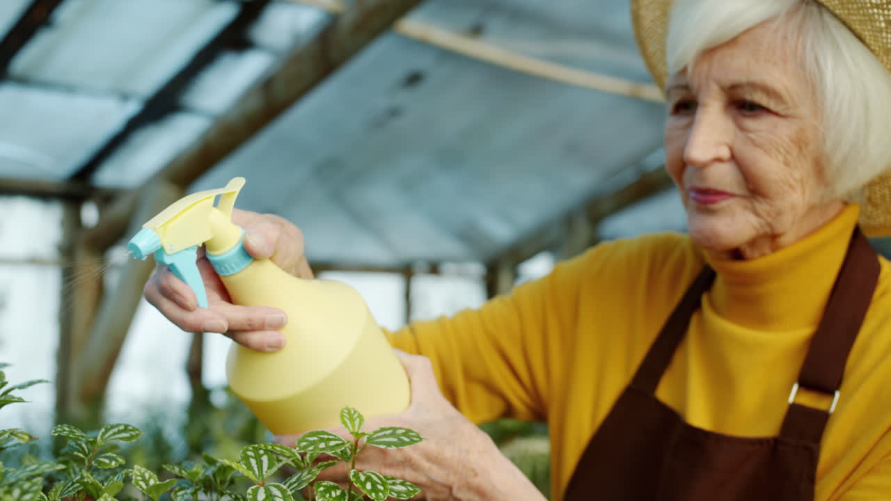 Senior Woman Watering Plants in a Greenhouse