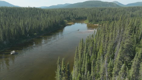 Atemberaubende-Luftaufnahme-Eines-Kanus-Auf-Dem-Flowers-River-In-Labrador,-Kanada