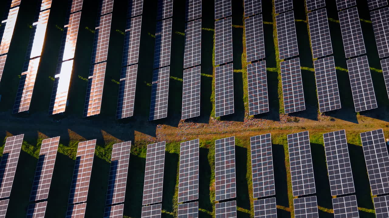 Vista aerea verticale di un parco solare con strada di servizio. Scatto da drone che mostra due sezioni di schiere fotovoltaiche separate da una strada sterrata sotto la luce solare diretta.