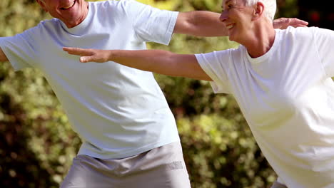 Mature-couple-practicing-tai-chi-