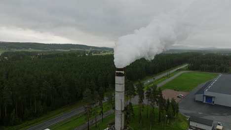 chimenea de humo durante la producción industrial de madera en noruega