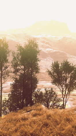 scenic landscape with trees and mountains at sunset