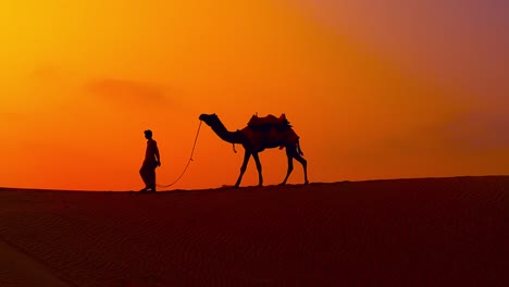 Cameleers,-camel-Drivers-at-sunset.-Thar-desert-on-sunset-Jaisalmer,-Rajasthan,-India.