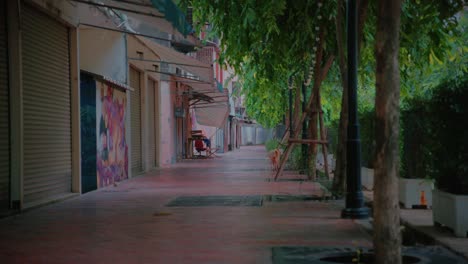 lonely dog strolling down a quiet bangkok street