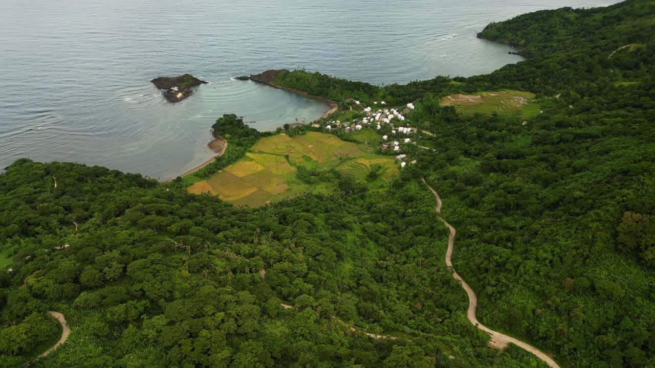 Vibrant, coastal rural barangay village community with lush greenery and serpentine roads at Bato, Catanduanes, Philippines - aerial flyover shot