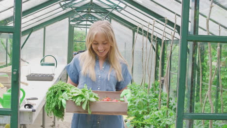 Retrato-De-Una-Mujer-Orgullosa-Y-Sonriente-Sosteniendo-Una-Caja-De-Verduras-Cultivadas-En-Casa-En-Invernadero