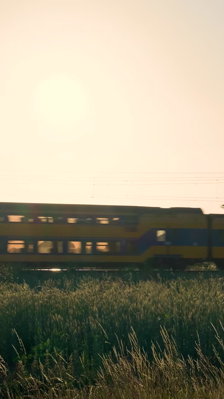 Train speeding through a grassy field at sunset