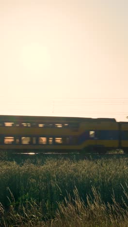 train speeding through a grassy field at sunset