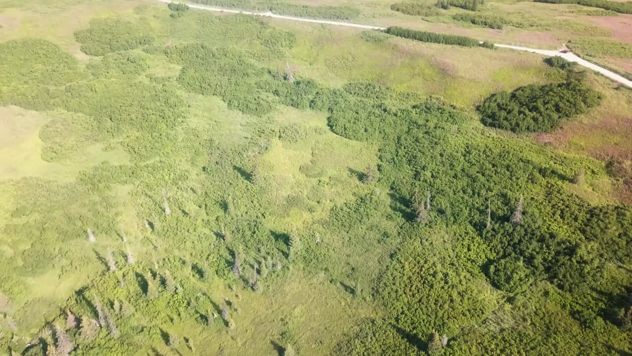 vista aérea, vuelo de drones a lo largo de la carretera del extremo este cerca de homer alaska