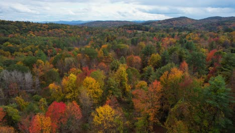 Drone-backward-view-of-generic-fall-foligae-on-a-rainy-day,-western-Massachusetts,-USA