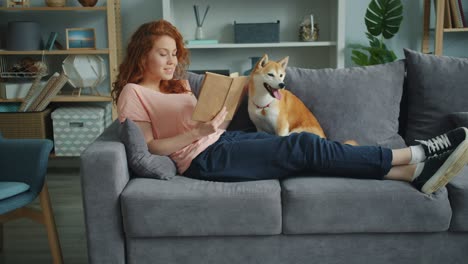 attractive girl reading book and stroking shiba inu puppy on couch in flat