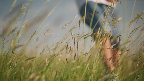 the lower body of a kid wearing blue jean shorts is visible as they play and enjoy a sunny day in a grassy field. the close-up focus on the tall grass adds a sense of freedom and joy