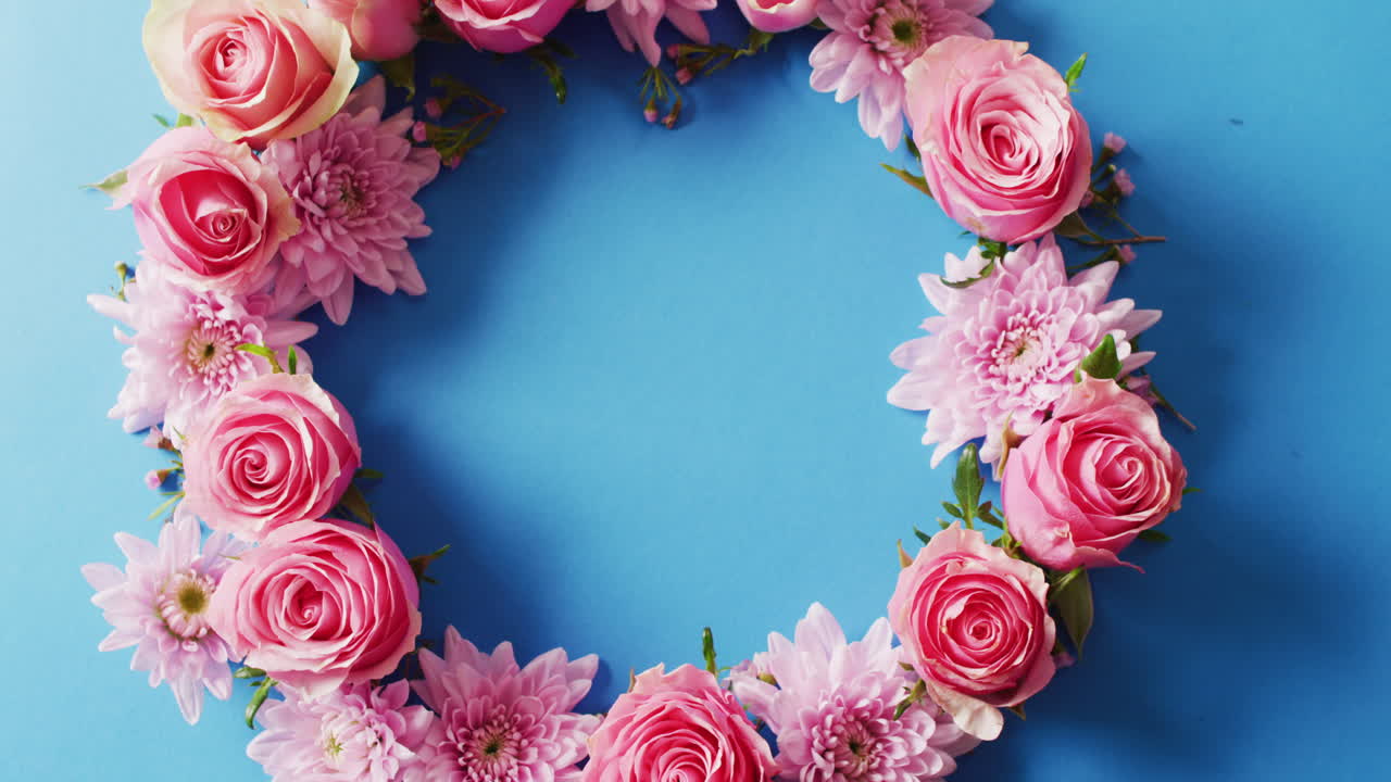 video de arriba de una guirnalda de rosas rosas y crisantemos sobre un fondo azul con espacio para copiar