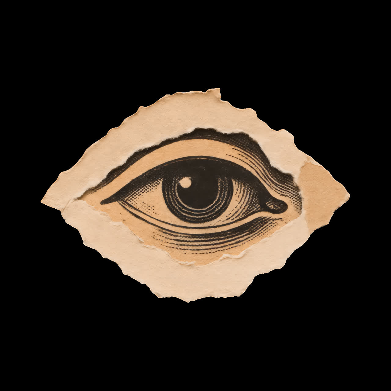Vintage eye collage art animation isolated asset, transparent 4K video, alpha channel, ProRes 4444