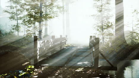 suspended wooden bridge crossing the river to foggy mysterious forest