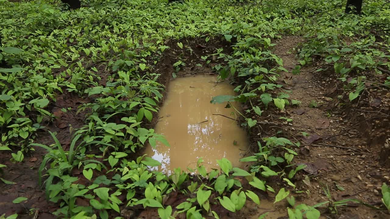 técnica de recolección de agua de lluvia esta técnica se adopta para ahorrar agua que se desperdicia a través de laderas, ríos, nalas