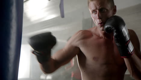 boxer training with punching bag