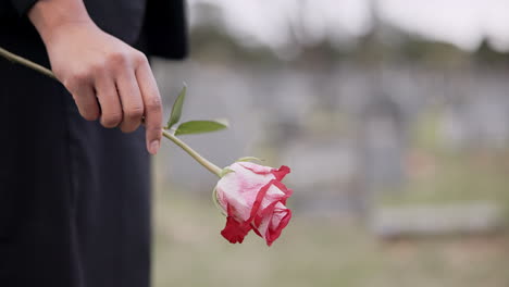 Funeral,-cemetery-and-hands-of-person-with-rose