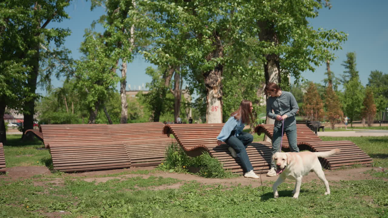 Pareja blanca sentada en un banco en un parque moderno, asientos curvos de madera y árboles, instalación de diseño que invita a hacer una pausa, un perro olisquea el borde cubierto de hierba, amigos comparten conversación y sonrisas bajo el sol