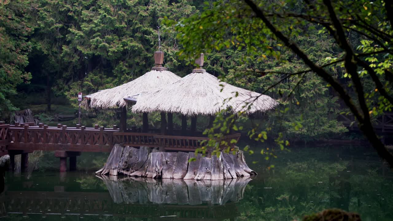 Resting Stop in the Sister Pond on Ali Mountain