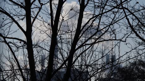 humo de una estación de calefacción de fábrica entre árboles de parque sin hojas en la ciudad