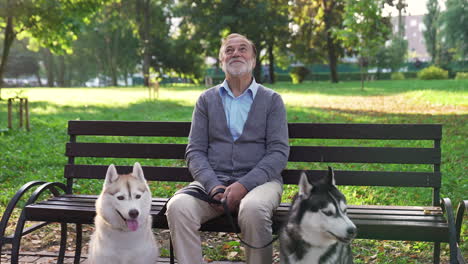 el dueño de la mascota con sus perros