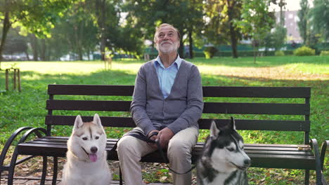 pet owner with his dogs