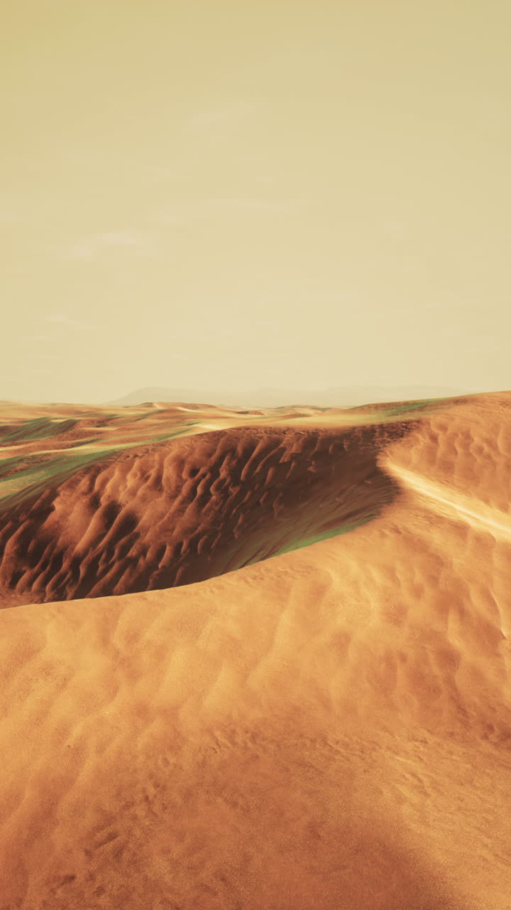Paesaggio delle dune di sabbia del deserto