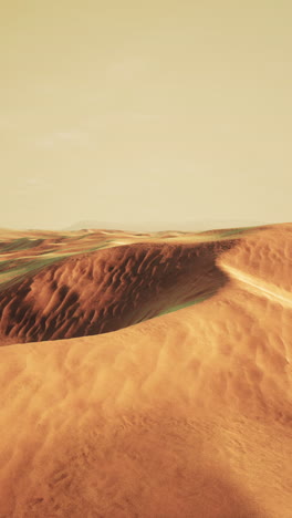 paisaje de dunas de arena del desierto