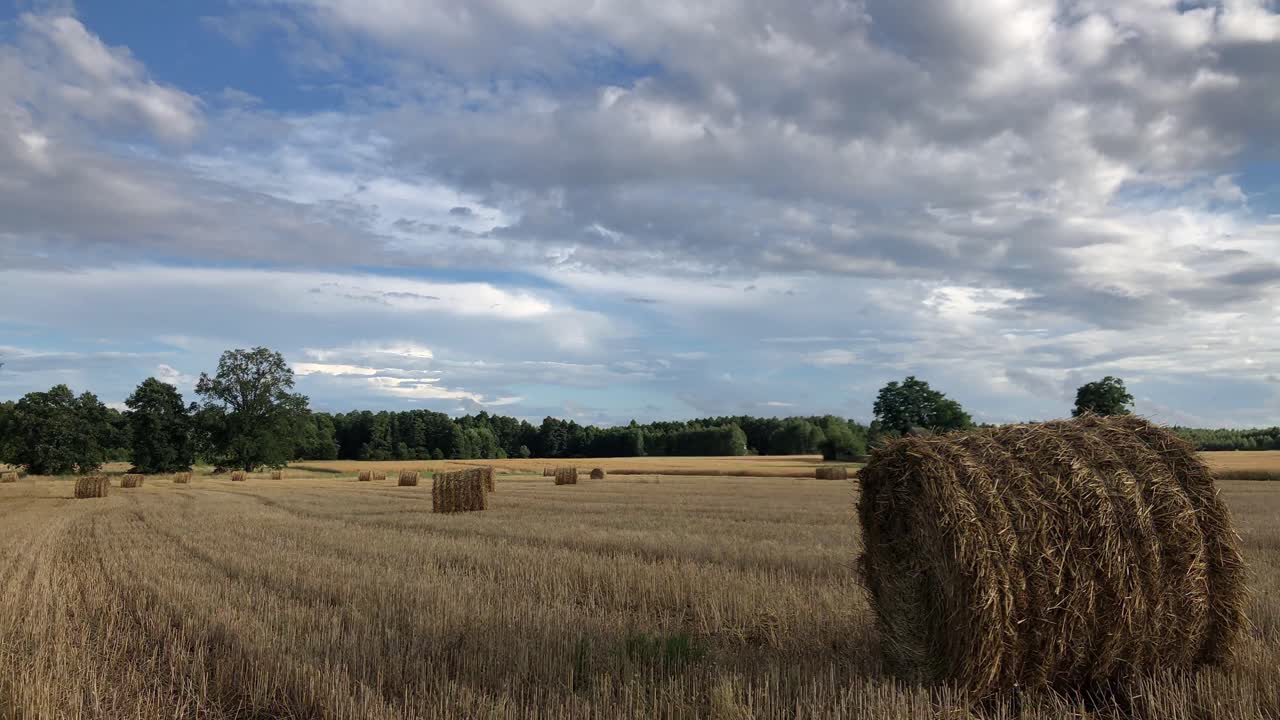 lapso de tiempo de las balas de heno en la granja de campo agrícola orgánica natural verde