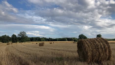 lapso de tiempo de las balas de heno en la granja de campo agrícola orgánica natural verde